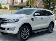 Ford Everest   Titanium 2.0L 4x4 AT   2019 - Bán xe Ford Everest Titanium 2.0L 4x4 AT năm 2019, màu trắng