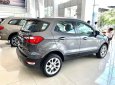 Ford EcoSport 2021 - Ford Ecosport 2021 - Mẫu xe mới nhất cùng hàng ngàn ưu đãi hấp dẫn