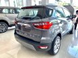 Ford EcoSport 2021 - Ford Ecosport 2021 - Mẫu xe mới nhất cùng hàng ngàn ưu đãi hấp dẫn