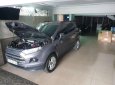 Ford EcoSport    2015 - Cần bán lại xe Ford EcoSport đời 2015, màu xám số sàn, giá 325tr