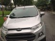 Ford EcoSport   2017 - Bán ô tô Ford EcoSport đời 2017, màu bạc giá cạnh tranh