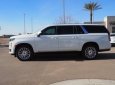 Cadillac Escalade ESV Platinum 2021 - Bán Cadillac Escalade ESV Platinum năm sản xuất 2021