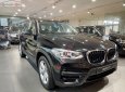 BMW X3   2021 - Bán xe BMW X3 năm sản xuất 2021, màu đen, nhập khẩu