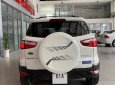 Ford EcoSport 2016 - Bán Ford EcoSport năm 2016, màu trắng giá cạnh tranh