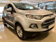 Ford EcoSport 2015 - Bán Ford EcoSport năm sản xuất 2015, màu bạc  