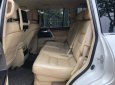 Toyota Land Cruiser   VX 4.6 V8  2016 - Bán Toyota Land Cruiser VX 4.6 V8 đời 2016, màu trắng, nhập khẩu