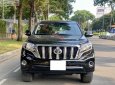 Toyota Prado   TXL 2.7L 2013 - Bán Toyota Prado TXL 2.7L năm 2013, màu đen, nhập khẩu