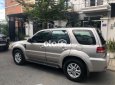 Ford Escape 2009 - Bán Ford Escape sản xuất năm 2009, màu bạc, xe nhập còn mới, giá chỉ 325 triệu