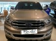 Ford Everest   Titanium 4X2 2019 - Cần bán lại xe Ford Everest Titanium 4X2 sản xuất năm 2019, nhập khẩu 