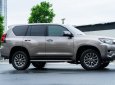 Toyota Prado 2020 - Cần bán gấp Toyota Prado đời 2020, màu bạc, nhập khẩu nguyên chiếc