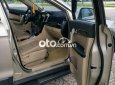 Chevrolet Captiva   LTZ  2007 - Bán Chevrolet Captiva LTZ năm 2007, nhập khẩu nguyên chiếc, giá tốt