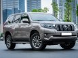 Toyota Prado   VX 2.7L 2020 - Bán Toyota Prado VX 2.7L 2020, nhập khẩu chính chủ