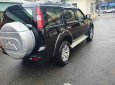 Ford Everest 2011 - Bán Ford Everest năm sản xuất 2011, màu đen, 392 triệu