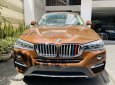 BMW X4 xDrive20i 2016 - Bán xe BMW X4 xDrive20i năm sản xuất 2016, nhập khẩu nguyên chiếc như mới