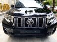 Toyota Prado   VX 2.7L  2021 - Cần bán gấp Toyota Prado VX 2.7L năm 2021, màu đen, nhập khẩu