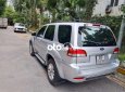 Ford Escape 2010 - Cần bán xe Ford Escape năm sản xuất 2010, màu bạc  