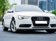 Audi A5    2016 - Bán xe Audi A5 sản xuất năm 2016, màu trắng 