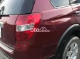 Chevrolet Captiva 2007 - Bán Chevrolet Captiva năm sản xuất 2007, màu đỏ, xe nhập còn mới