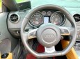 Audi TT 2009 - Audi TT nhập Mỹ 2009, 2 chỗ mui xếp Convertible, loại hàng hiếm ở VN cao cấp