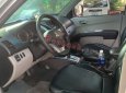 Mitsubishi Triton   2010 - Bán Mitsubishi Triton đời 2010, màu bạc, nhập khẩu nguyên chiếc còn mới