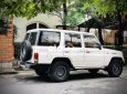 Toyota Land Cruiser 1994 - Cần bán Toyota Land Cruiser đời 1994, màu trắng, nhập khẩu nguyên chiếc chính chủ