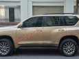 Toyota Prado   TXL 2.7L   2012 - Bán Toyota Prado TXL 2.7L sản xuất năm 2012, màu vàng, nhập khẩu