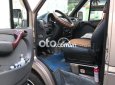 Mercedes-Benz Sprinter 2010 - Bán Mercedes Sprinter năm 2010, màu bạc, xe nhập còn mới giá cạnh tranh