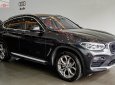 BMW X4   X-Line 2019 - Bán BMW X4 X-Line 2019, màu xám, nhập khẩu