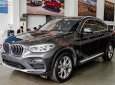 BMW X4   2019 - Bán xe BMW X4 đời 2019, màu xám, nhập khẩu nguyên chiếc