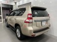 Toyota Land Cruiser Prado   TXL   2017 - Bán ô tô Toyota Land Cruiser Prado TXL năm sản xuất 2017, màu vàng, xe nhập còn mới