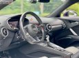 Audi TT     2018 - Bán Audi TT đời 2018, nhập khẩu còn mới