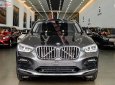 BMW X4   2019 - Bán xe BMW X4 đời 2019, màu xám, nhập khẩu nguyên chiếc