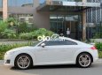 Audi TT 2016 - Bán Audi TT sản xuất năm 2016, màu trắng, xe nhập