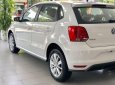 Volkswagen Polo 2021 - Bán ô tô Volkswagen Polo 2021, màu trắng, nhập khẩu nguyên chiếc