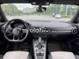 Audi TT   2018 - Bán ô tô Audi TT sản xuất 2018, màu đen còn mới