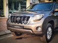 Toyota Prado  TXL 2017 - Bán xe Toyota Prado TXL sản xuất 2017, màu xám, xe nhập còn mới