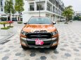 Ford Ranger  Wildtrack  2017 - Cần bán lại xe Ford Ranger Wildtrack năm sản xuất 2017, màu nâu còn mới