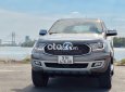 Ford Everest AT 2020 - Bán Ford Everest AT sản xuất năm 2020, màu xám, xe nhập còn mới
