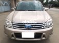 Ford Escape AT 2009 - Bán ô tô Ford Escape AT đời 2009, màu vàng còn mới, giá chỉ 305 triệu