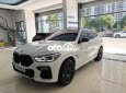 BMW X6 2020 - Bán ô tô BMW X6 sản xuất 2020, màu trắng, nhập khẩu nguyên chiếc