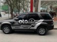 Ford Escape  XLT  2008 - Bán Ford Escape XLT sản xuất năm 2008, màu đen