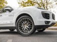 Porsche Cayenne 2017 - Cần bán Porsche Cayenne Platinum năm 2017 giá 4 tỷ 350tr