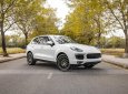 Porsche Cayenne 2017 - Cần bán Porsche Cayenne Platinum năm 2017 giá 4 tỷ 350tr