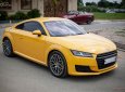 Audi TT 2016 - Em bán ô tô Audi TT TFSI sản xuất 2016, màu vàng, nhập khẩu, xe mới