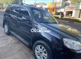 Ford Escape XLT 2010 - Bán Ford Escape XLT sản xuất 2010, màu đen