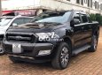 Ford Ranger Wildtrak 2016 - Bán Ford Ranger Wildtrak năm 2016, xe nhập, giá chỉ 709 triệu