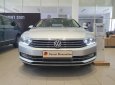 Volkswagen Passat AT 2020 - Volkswagen Passat AT - Sẵn xe giao ngay kèm ưu đãi hấp dẫn trong tháng