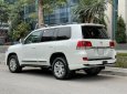 Toyota Land Cruiser VX 4.6 V8 2016 - Bán Toyota Land Cruiser VX 4.6 V8 năm 2016, màu trắng