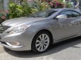 Hyundai Sonata 2010 - Bán Hyundai Sonata AT đời 2011, màu bạc, nhập khẩu