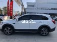 Chevrolet Captiva  LTZ 2016 - Cần bán gấp Chevrolet Captiva LTZ sản xuất năm 2016, màu trắng